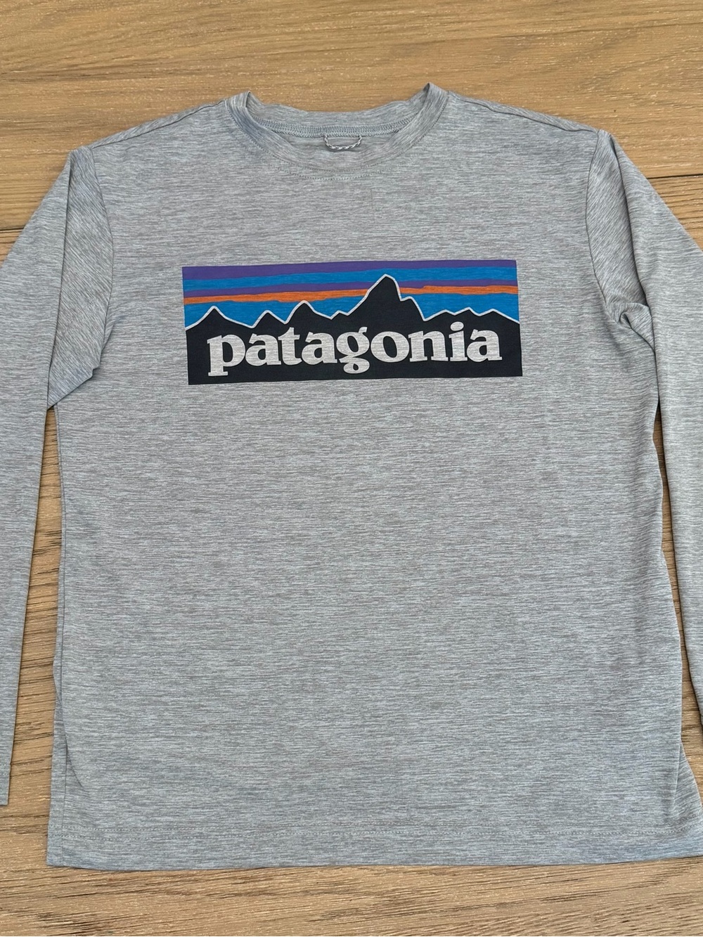 Patagonia Light Gray Long-Sleeve Tee with Multicolor Logo